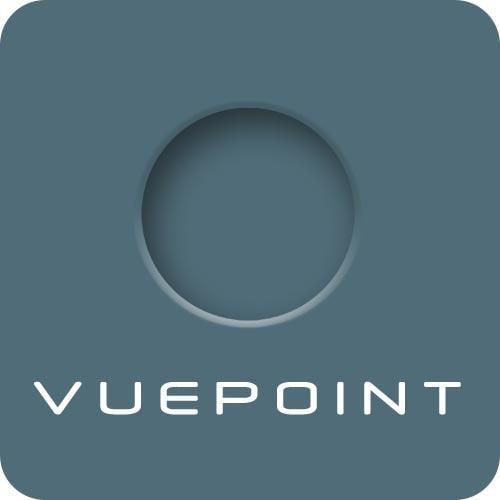 Top SA Website Design Firm Logo: Vuepoint Creative