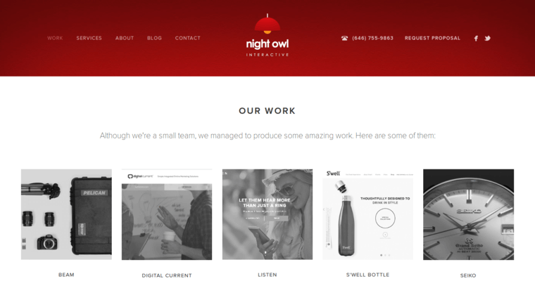 Work Page of Top Web Design Firms in New York: Night Owl Interactive