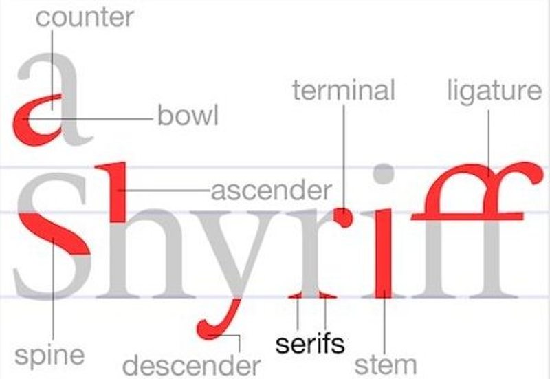 Font Basics to Consider for a Fun and Functional Website