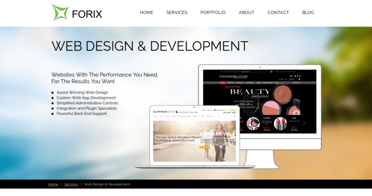 Development page of #2 Best Web Design Agency: Forix Web Design
