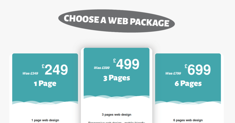 Price page of #3 Leading London Web Development Business: dsgnone