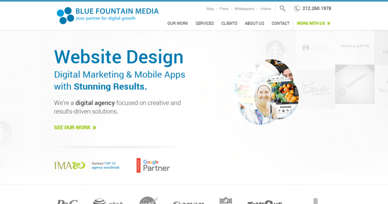 Home page of #1 Leading Medical Web Development Business: Blue Fountain Media