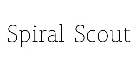 Best Bay Area Web Design Company Logo: Spiral Scout